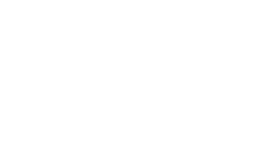 Velux